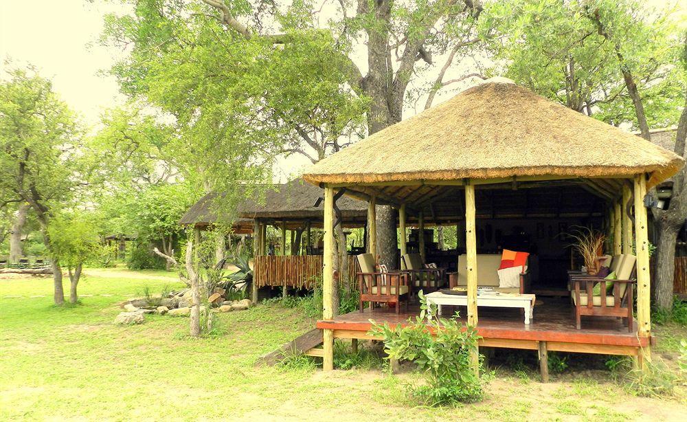 Shindzela Tented Camp Reserva Timbavati Exterior foto