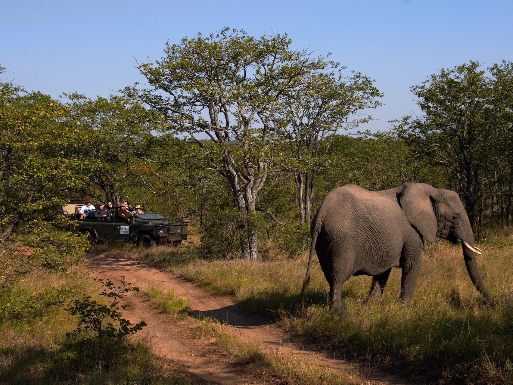Shindzela Tented Camp Reserva Timbavati Exterior foto