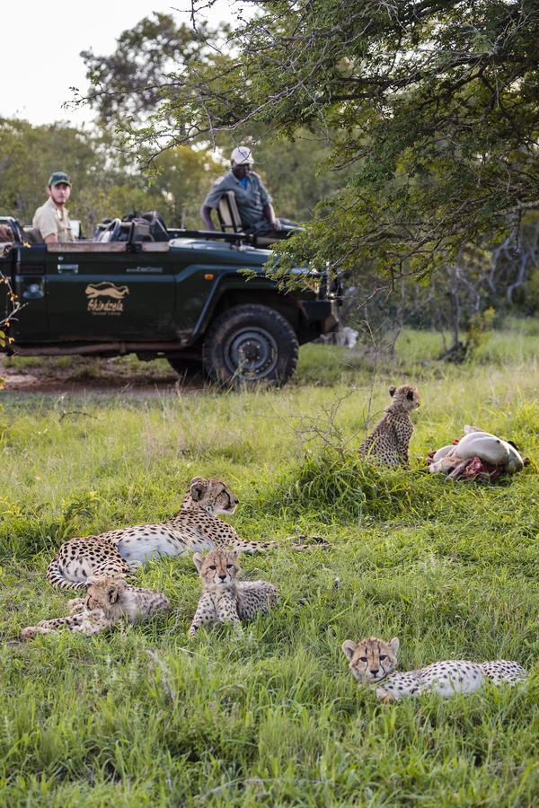 Shindzela Tented Camp Reserva Timbavati Exterior foto
