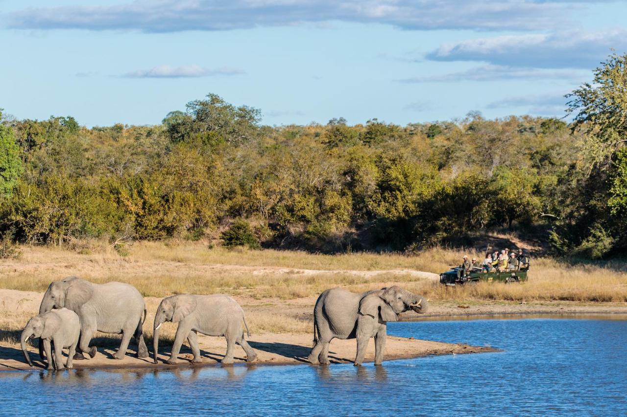 Shindzela Tented Camp Reserva Timbavati Exterior foto
