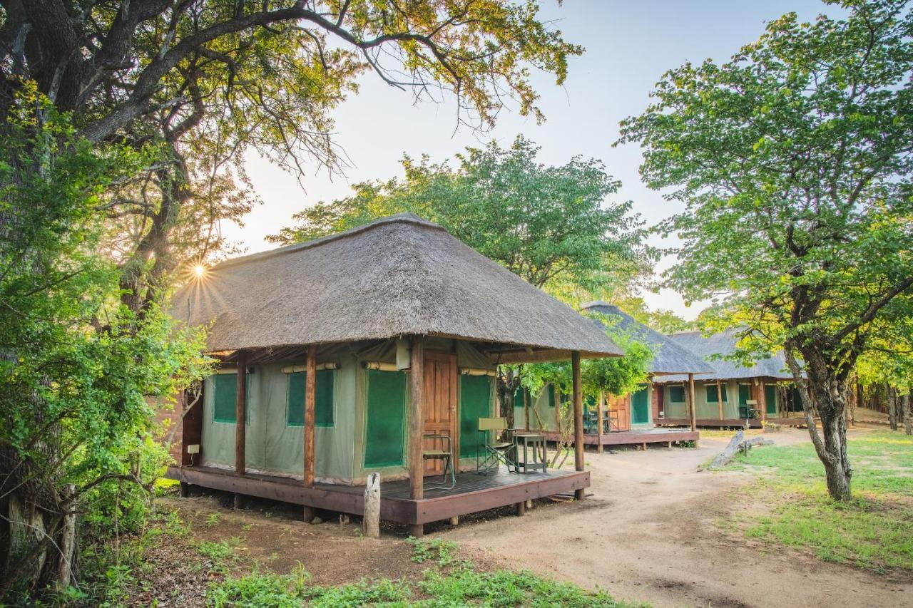 Shindzela Tented Camp Reserva Timbavati Exterior foto