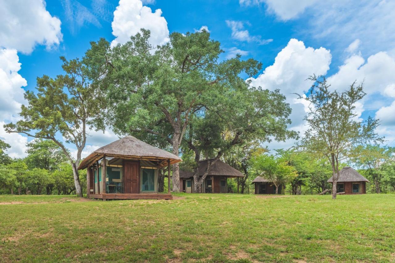 Shindzela Tented Camp Reserva Timbavati Exterior foto