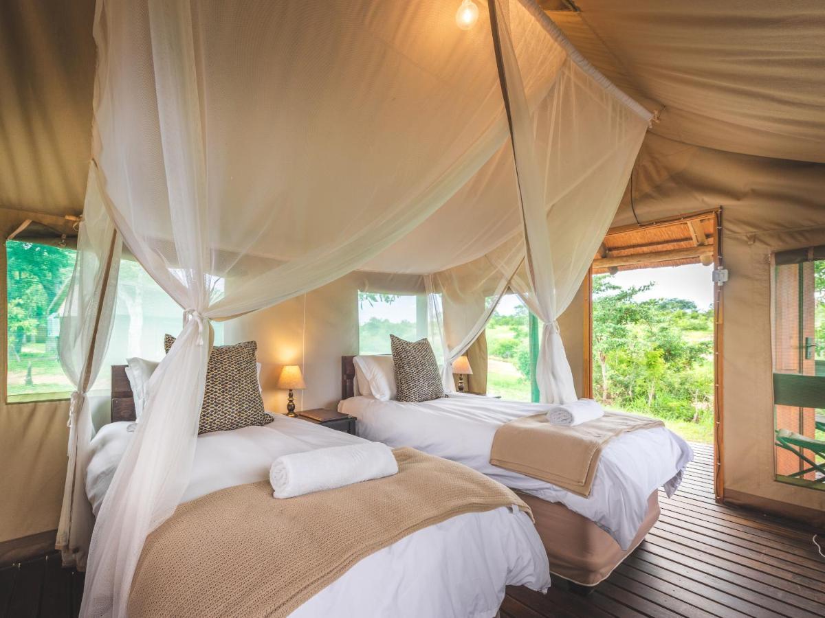 Shindzela Tented Camp Reserva Timbavati Exterior foto