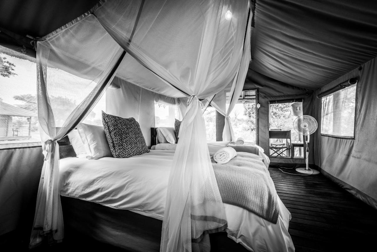 Shindzela Tented Camp Reserva Timbavati Exterior foto